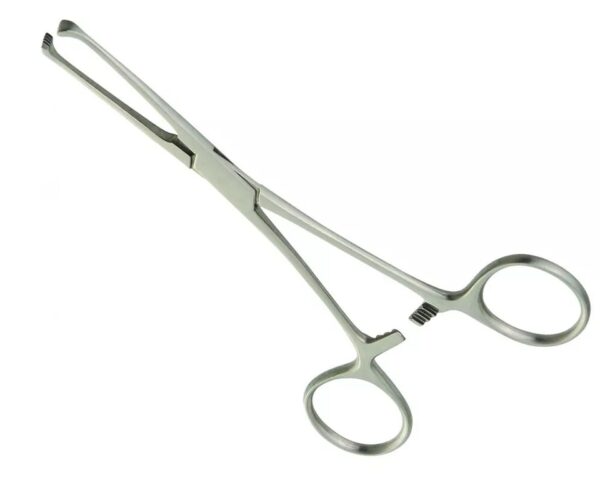 Allis's pliers, 19 cm (Available all size)